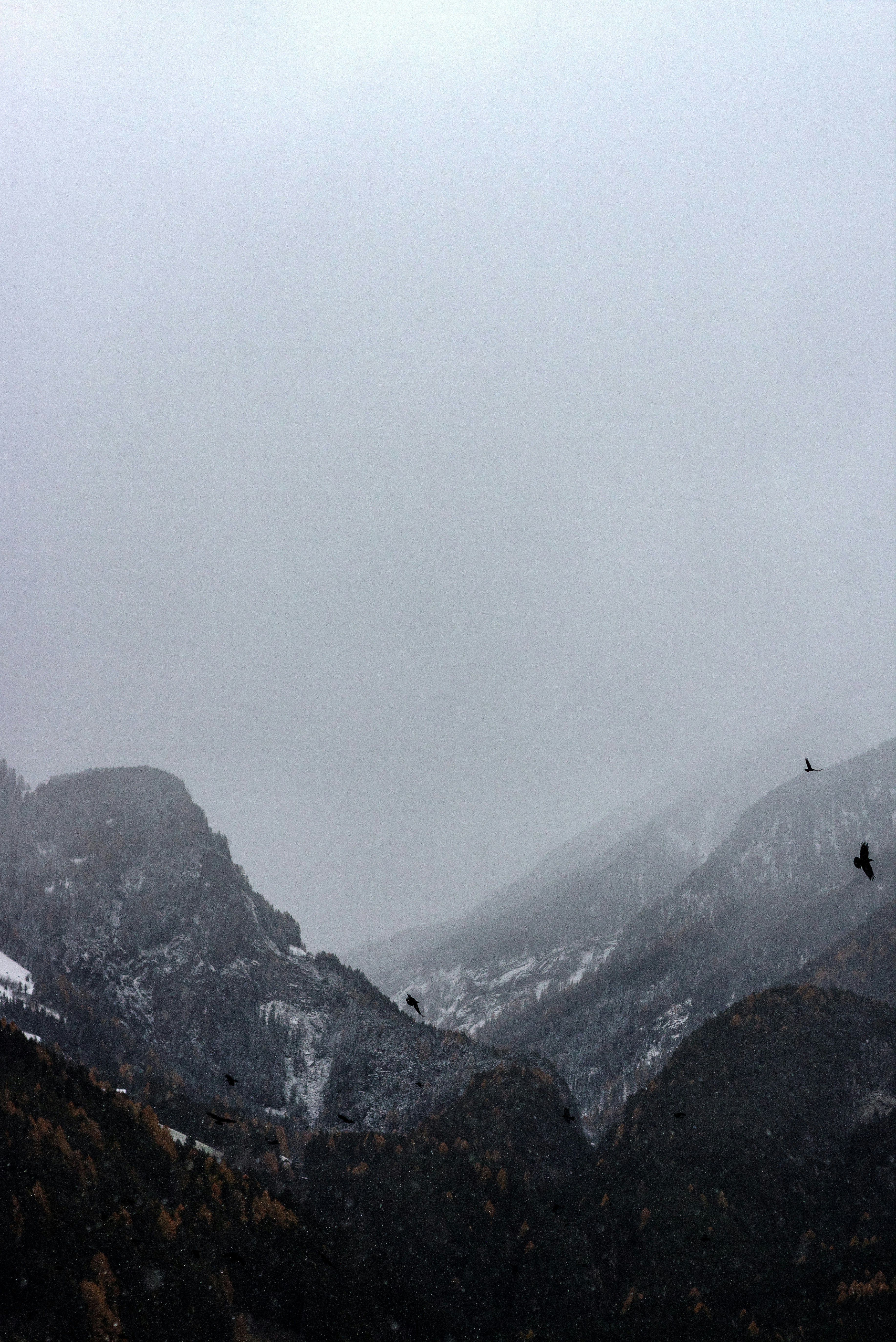 black mountain covered with thick fog